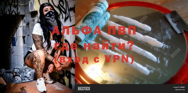 spice Няндома
