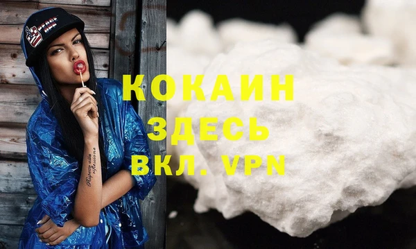 spice Няндома