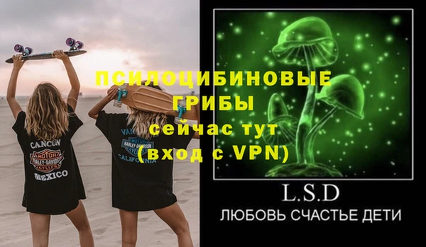 дурь Новодвинск