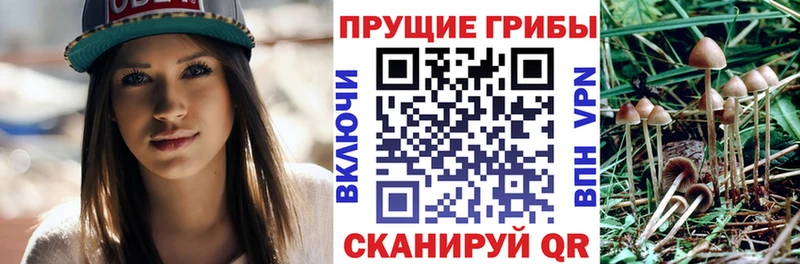 Псилоцибиновые грибы мухоморы  сколько стоит  omg как зайти  Морозовск 