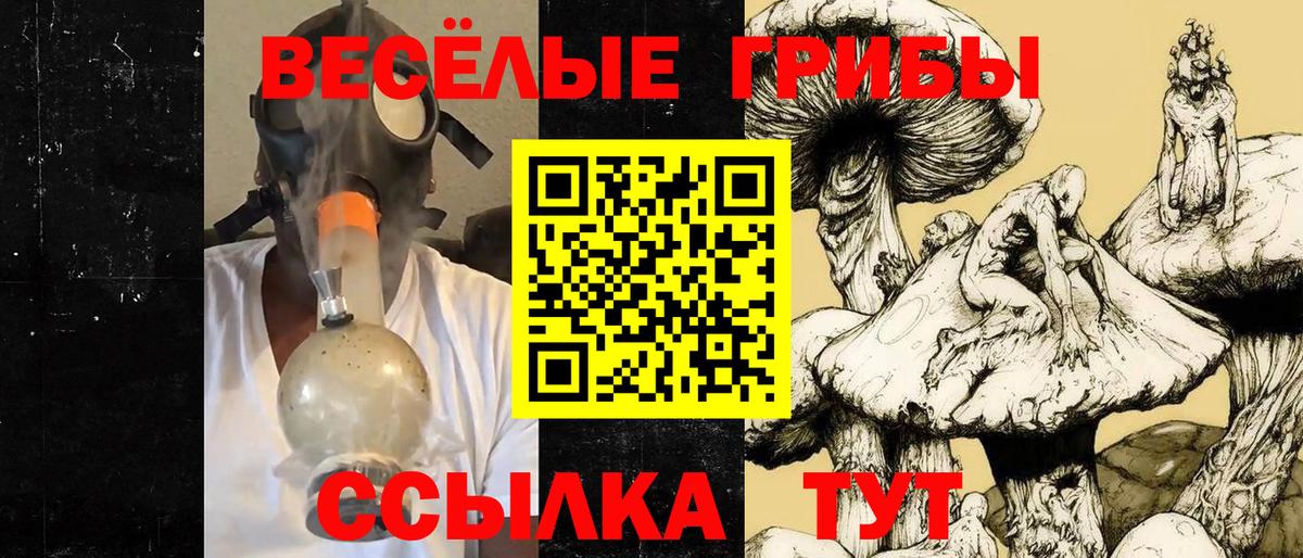 Морозовск  Галлюциногенные грибы Psilocybe  цены   Вход с VPN 