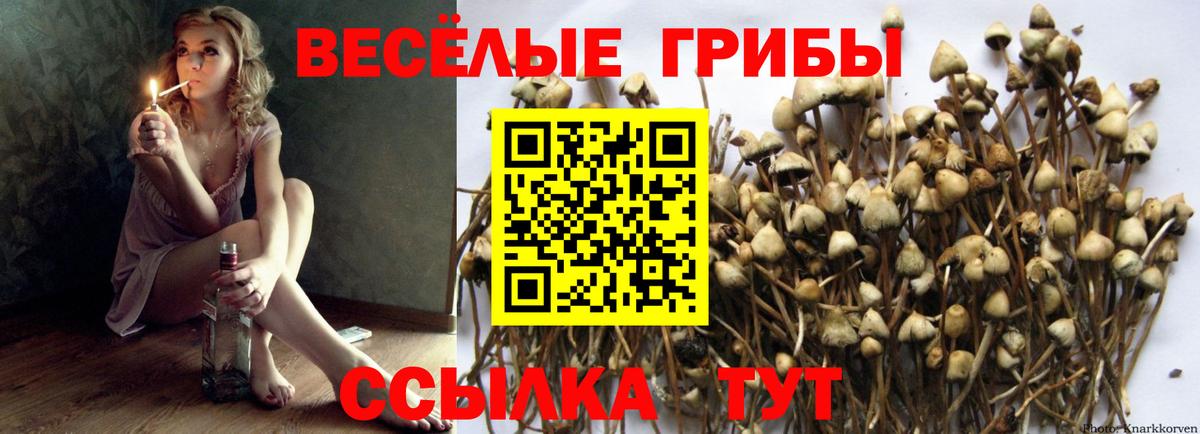 Галлюциногенные грибы мухоморы Морозовск